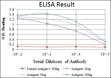 Anti-LIMS1 antibody [5G7] (STJ98322)