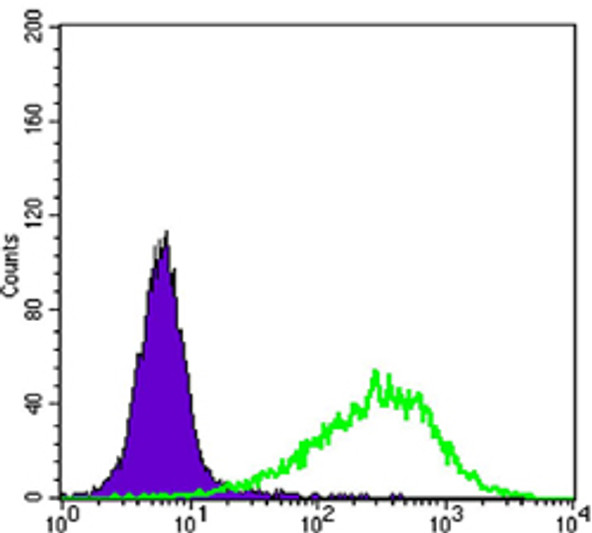 Flow cytometric analysis of NIH/3T3 cells using Rab 25 monoclonal antibody (green) and negative control (purple).