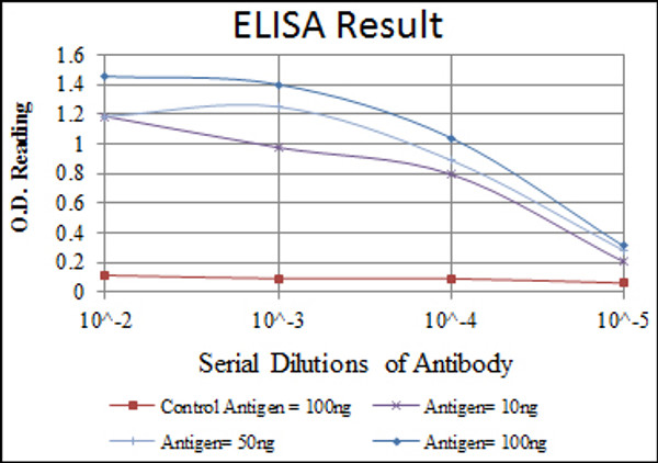 Anti-RBP4 antibody [4C2] (STJ98356)