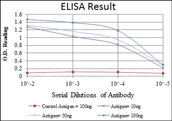 Anti-SMN1/SMN2 antibody [5H1] (STJ98390)