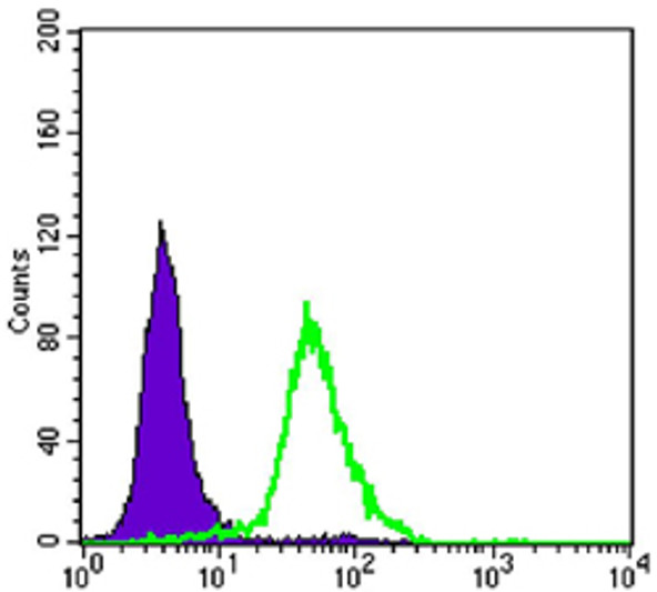Flow cytometric analysis of Hela cells using TORC2 monoclonal antibody (green) and negative control (purple).