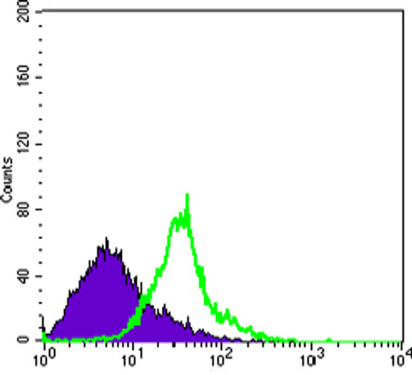 Flow cytometric analysis of Hela cells using Wnt-1 monoclonal antibody (green) and negative control (purple). Flow cytometric analysis of Hela cells using Wnt-1 monoclonal antibody (green) and negative control (purple).