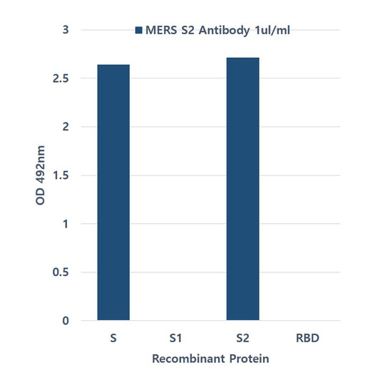 Western blot of MERS-CoV Spike S2 subunit antibody STJA0041966 showing detection of recombinant proteins