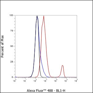 CD37 antibody flow cytometry PBMC negative control STJA0033067