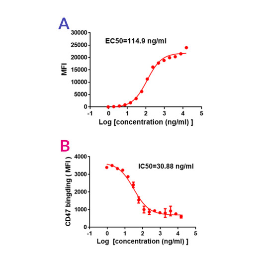 SIRP alpha antibody flow cytometry THP-1 cells STJA0038122