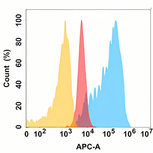 ADAM9 antibody flow cytometry Expi293 cells STJA0038155