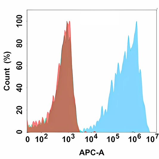 CLDN182 antibody flow cytometry Expi293 cells STJA0038203