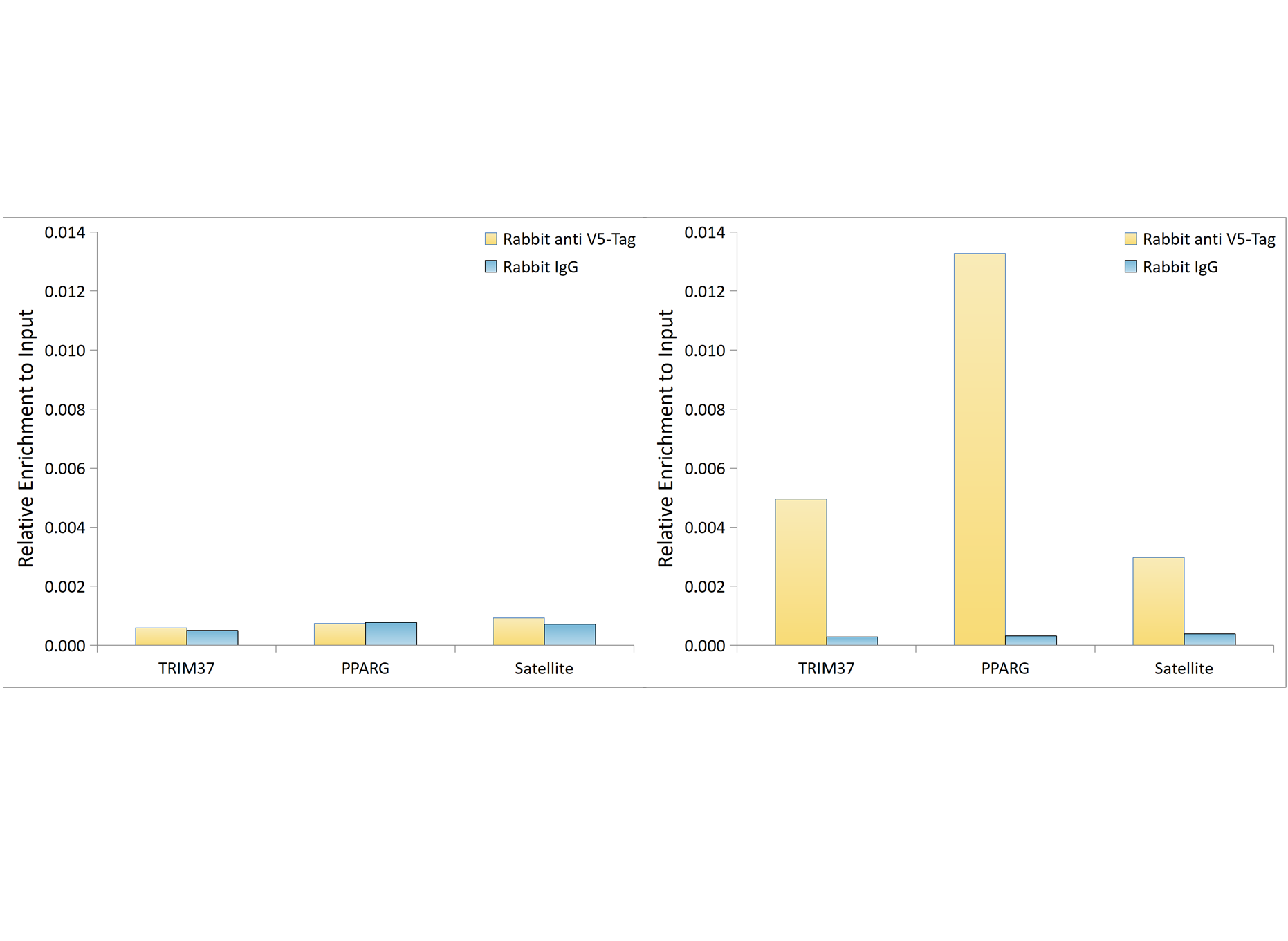 Anti-V5-Tag rabbit monoclonal antibody [S3MR] - WB, IF, ICC, IP, ELISA ...