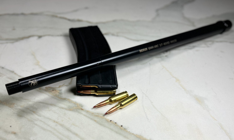 6mmARC 18" heavy barrel hero