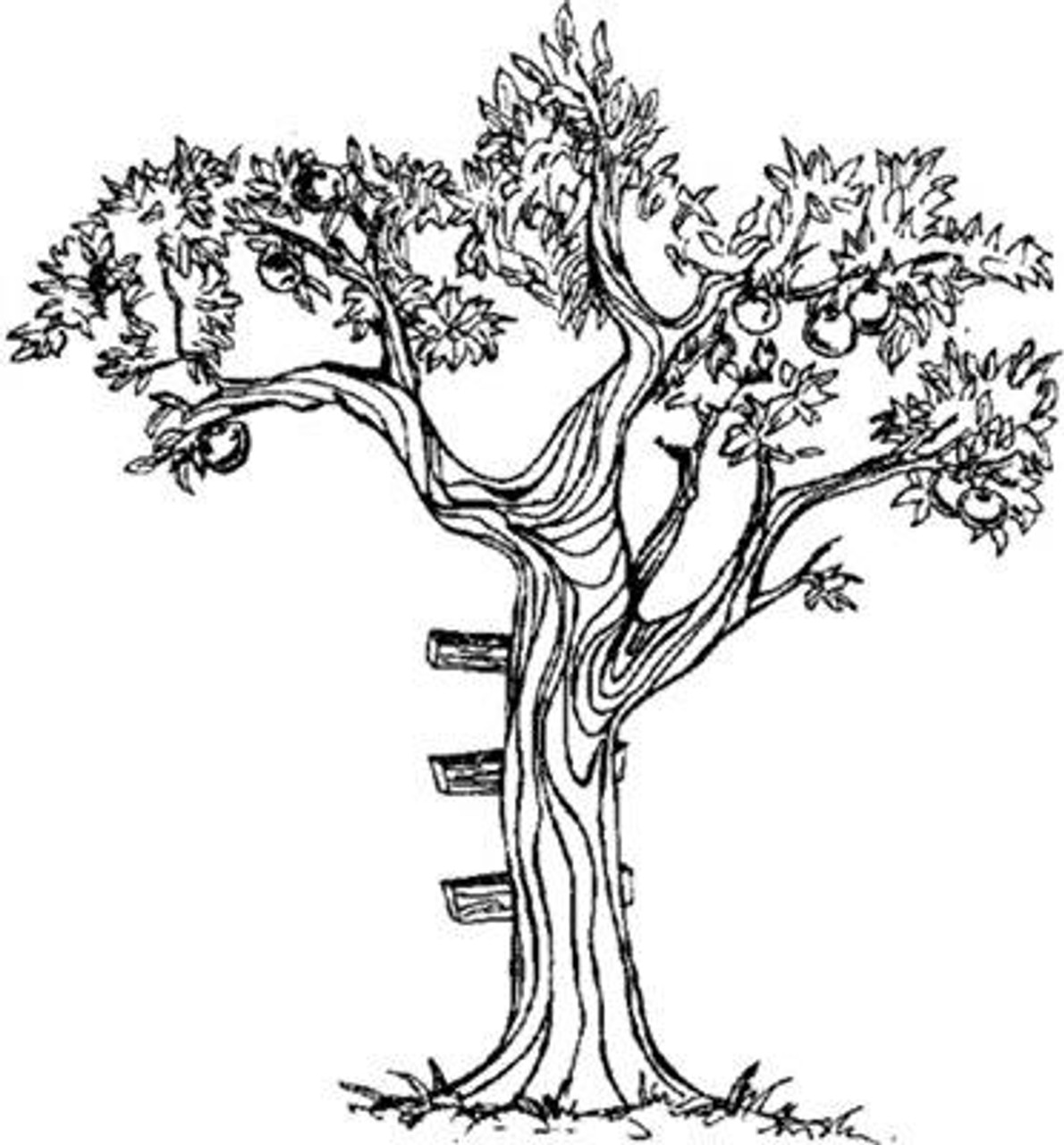 Account Suspended | Tree drawing simple, Apple tree drawing, Blossom tree  tattoo