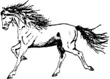 Emerald Creek Wild Horse - Cling Mount