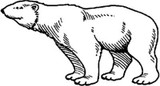 Emerald Creek Polar Bear - Cling Mount
