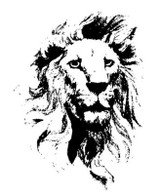 Emerald Creek Lion