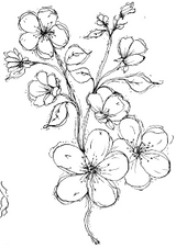 Pam Bray Designs Providence Florals - Apple Blossoms