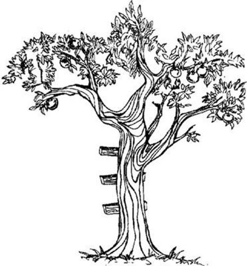 Emerald Creek Apple Tree - Cling Mount Emerald Creek Apple Tree - Cling Mount