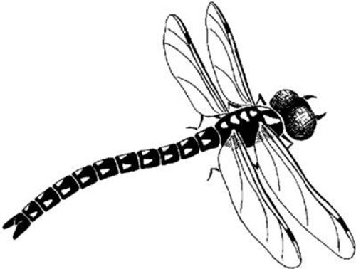Emerald Creek Drag on fly - Cling Mount Emerald Creek Drag on fly - Cling Mount