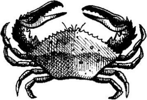 Emerald Creek Crab - Cling Mount