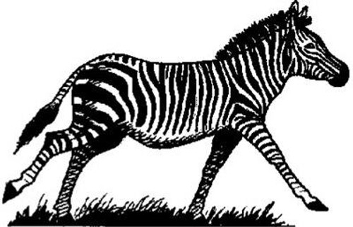 Emerald Creek Zebra Emerald Creek Zebra