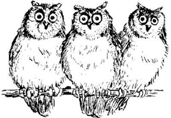 Emerald Creek Owls - Cling Mount Emerald Creek Owls - Cling Mount