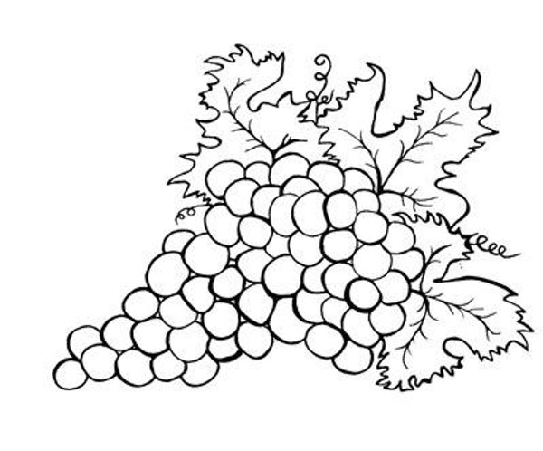 Grape Balls o Wine - Cling Mount
