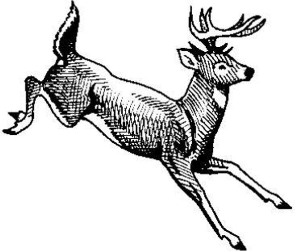 Emerald Creek Deer - Cling Mount