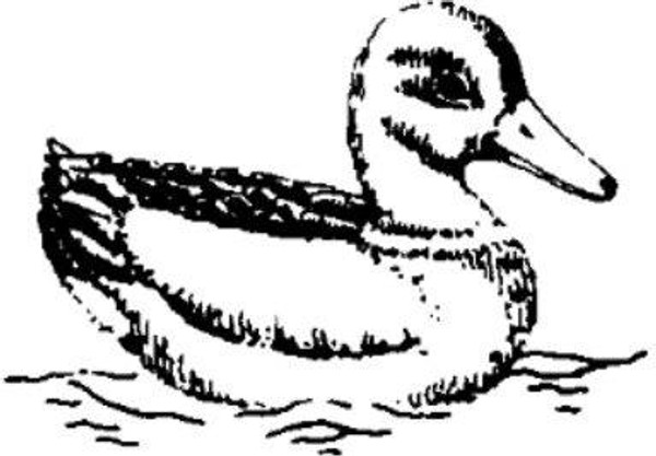 Emerald Creek Just Ducky - Cling Mount