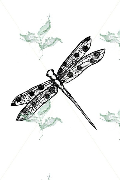 Loris Cards and Creations Be You Dragonfly by Lori Warren