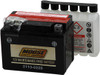 Moose Offroad - 21130225 - AGM Battery - YTX4L-BS