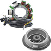 Rm Stator - 21121974 - Stator and Flywheel Kit - Polaris