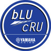 D'Cor Visuals - 40-50-201 - Decal Sheet - 12" - Blu Cru