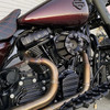 Arlen Ness - 10-Gauge Lifter Block Covers fits '17-'25 M8 Softail Models (Choose Finish)