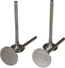 Del West - CRF250RIV10NDHF - Intake Valves