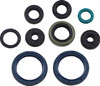 Athena - P400250400069 - Oil Seal Gasket Kit - Kawasaki