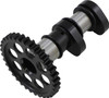 Hot Cams - 3306-1IN - Camshaft - Intake - Stage 1 - Husqvarna | KTM