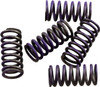 Hinson Racing - CS341-5-0311 - Hi-Temp Clutch Spring Kit - Yamaha