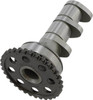 Hot Cams - 4089-2IN - Camshaft - Intake - Stage 2 - Yamaha