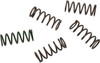 Hinson Racing - CS294-5-0109 - Hi-Temp Clutch Spring Kit - Honda/Husqvarna/KTM/Suzuki