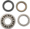 Hot Rods - K073 - Crankshaft Bearings - Honda