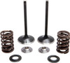 Kibblewhite - 30-31230 - Valve and Spring Kit - 0.440" Lift - Honda CRF450X '05-'17