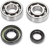 Hot Rods - K089 - Crank Bearings With Seal - KTM