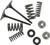 Kibblewhite - 40-40350 - Valve and Spring Kit - 0.445" Lift - Kawasaki KX250F '03-'16