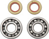 Hot Rods - K020 - Crankshaft Bearings - KTM