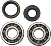 Hot Rods - K010 - Crankshaft Bearings - Yamaha