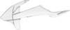 Polisport - 8417800006 - Radiator Cover - Clear - KTM