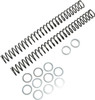 Race Tech - FRSP 434640 - Fork Springs - 0.40 kg/mm
