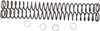 Race Tech - FRSP 444638 - Fork Springs - 0.38 kg/mm