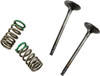 Prox - 28.SES2402-1 - Valve and Spring Kit - Exhaust - Gas Gas | Yamaha
