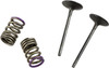 Prox - 28.SIS4336-2 - Valve and Spring Kit - Intake - Kawasaki