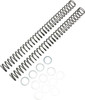 Race Tech - FRSP 435142 - Fork Springs - 0.42 kg/mm