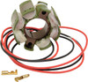 Rick'S Motorsport Electric - 21-811 - Stator - Suzuki